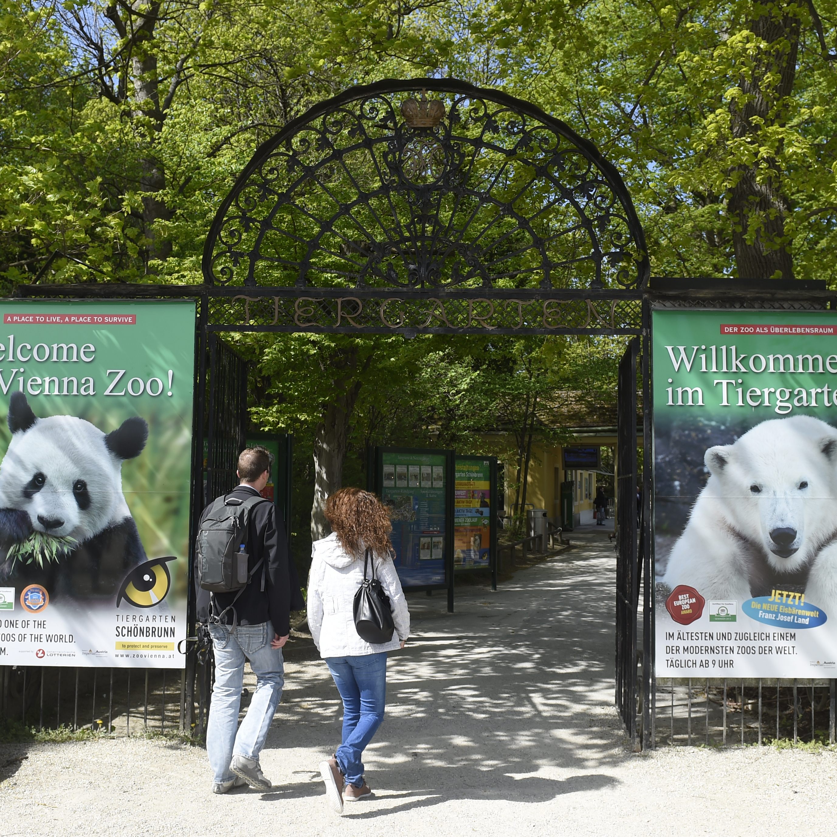 Derzeit besuchen eher Jahreskartenbesitzer als Tageskartenbesucher den Tiergarten Schönbrunn