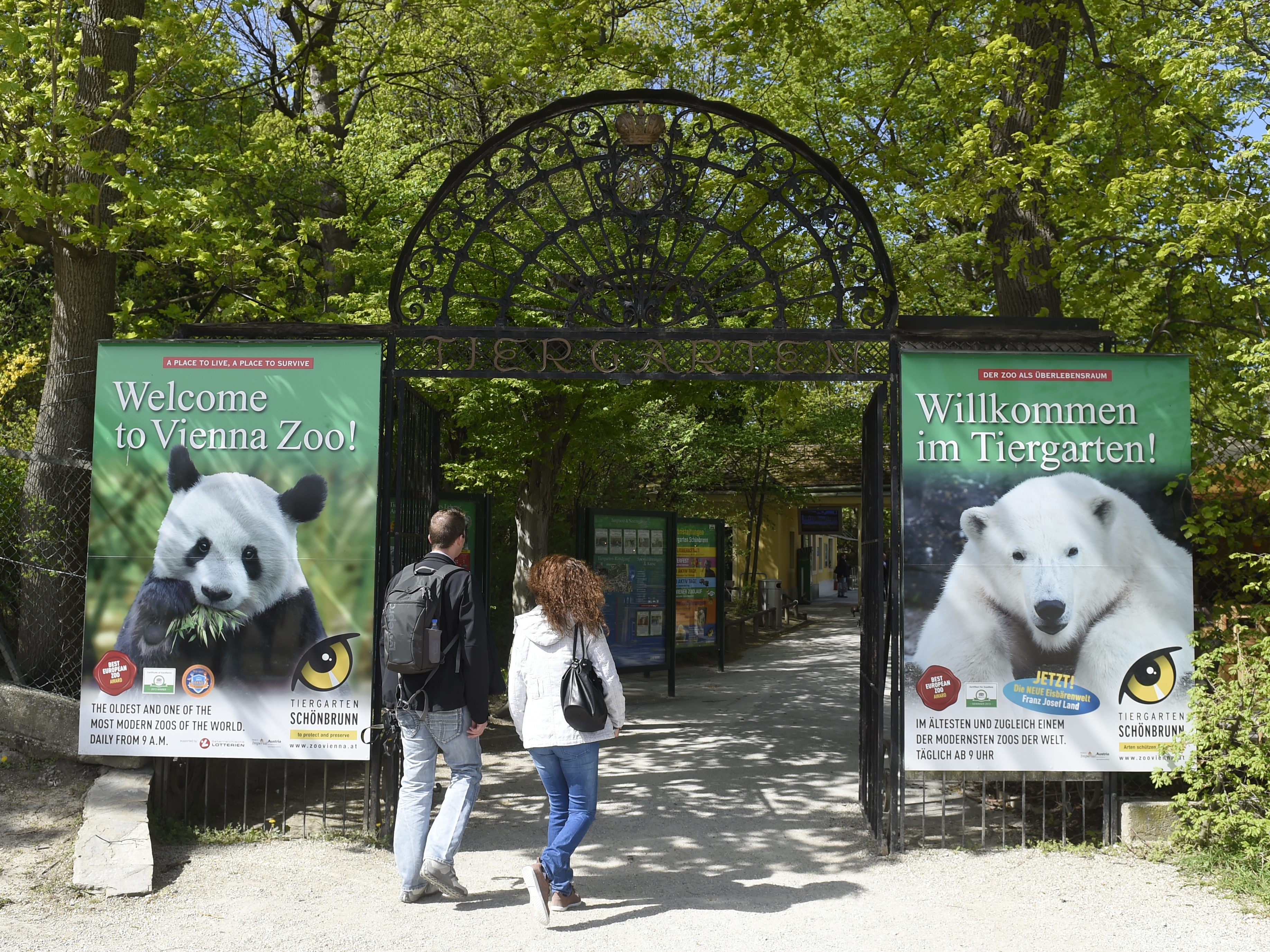 Derzeit besuchen eher Jahreskartenbesitzer als Tageskartenbesucher den Tiergarten Schönbrunn Derzeit besuchen eher Jahreskartenbesitzer als Tageskartenbesucher den Tiergarten Schönbrunn