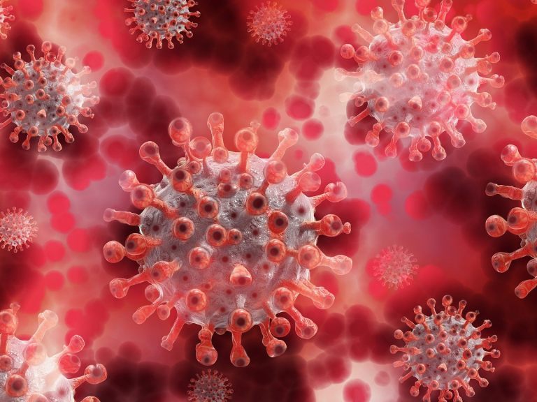 Die südafrikanische Mutation des Coronavirus dürfte nun auch in Salzburg angekommen sein. Die südafrikanische Mutation des Coronavirus dürfte nun auch in Salzburg angekommen sein.