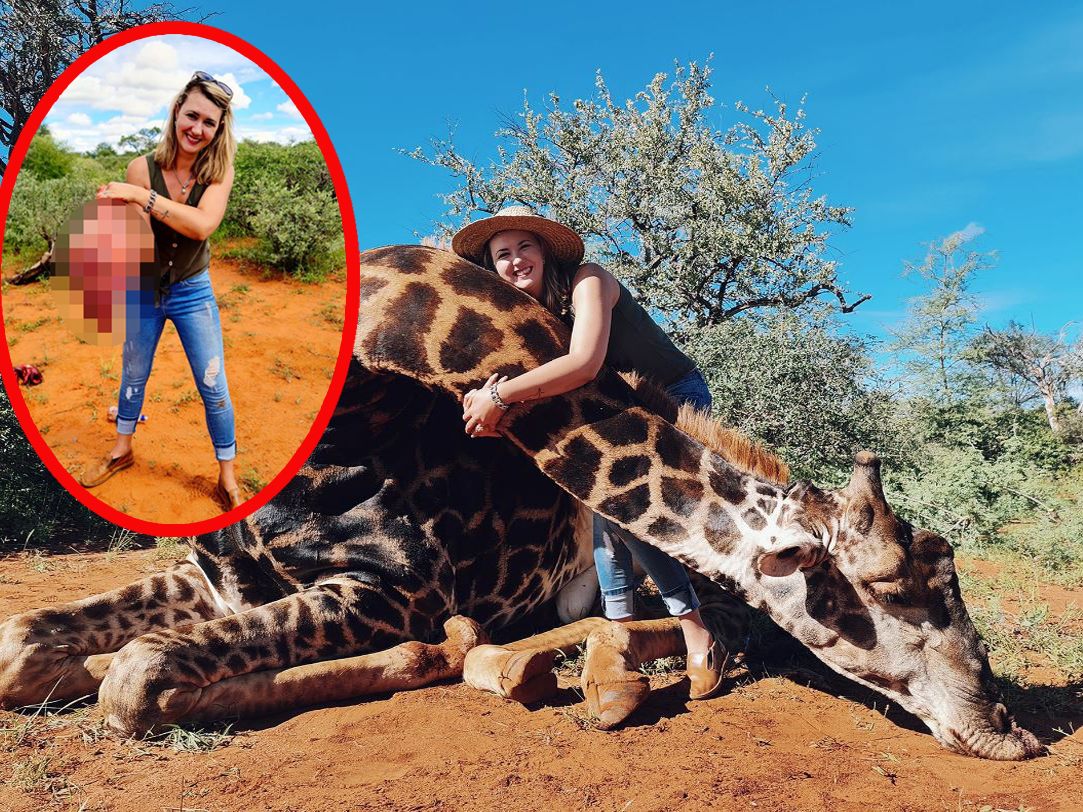 Merelize mit der elegten Giraffe. Merelize mit der elegten Giraffe.