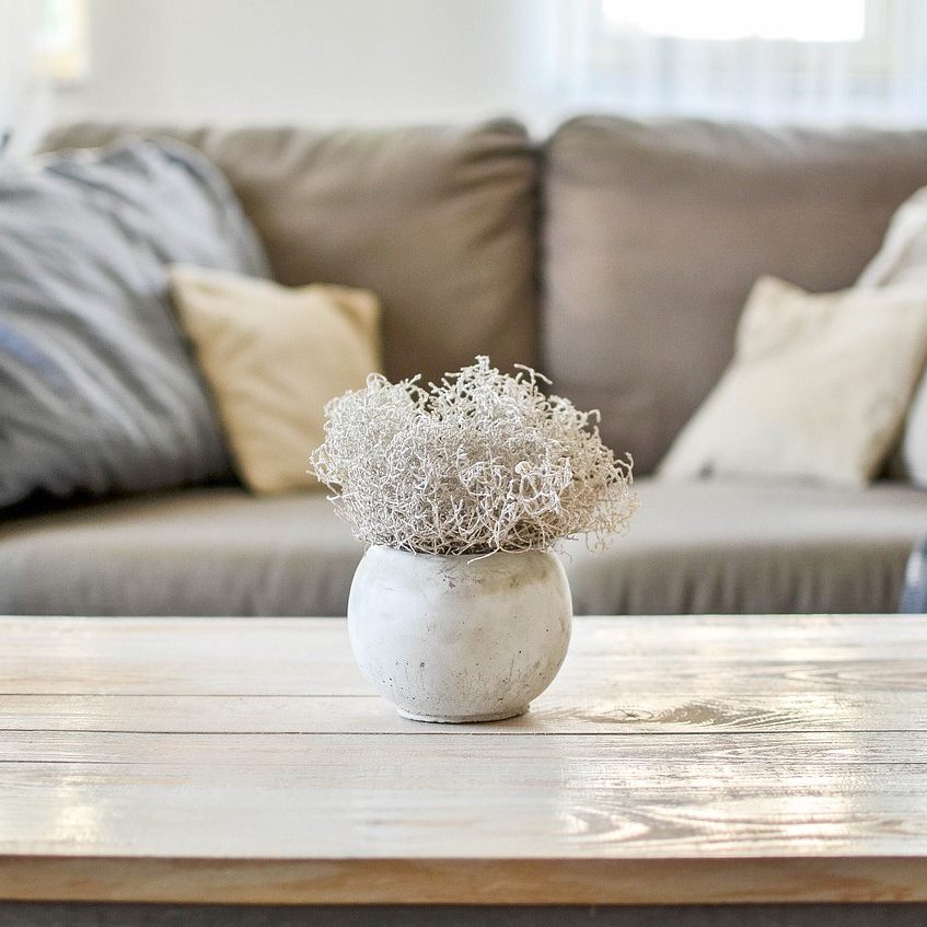 XXXLutz-Manager: Gestriger Montag wie "ein sehr guter Samstag mit weniger Frequenz"