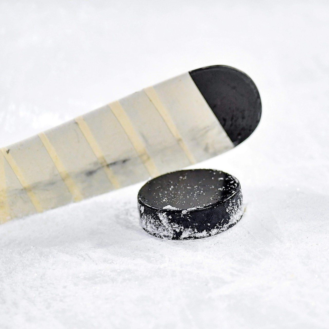 Die Vienna Capitals erhalten mit Steve Johnson Unterstützung.