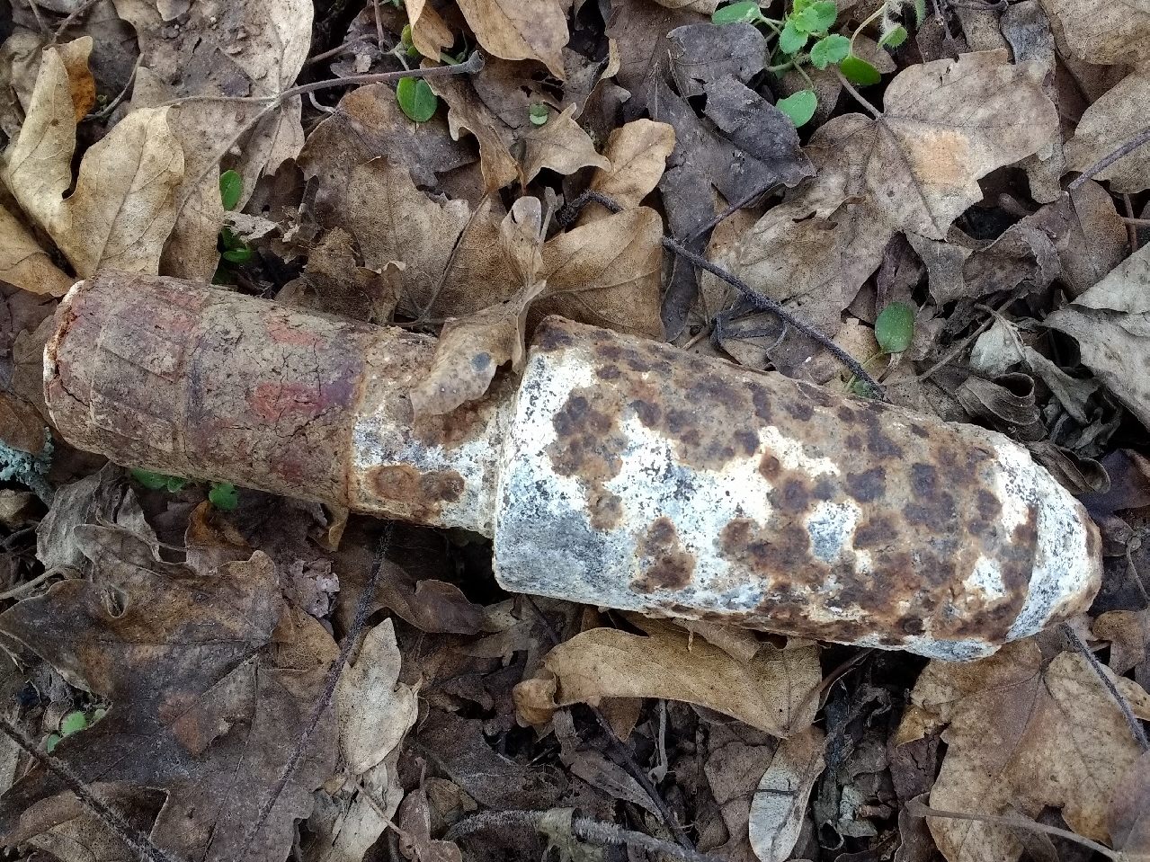 Das Kriegsrelikt wurde dem Entminungsdienst des Bundesheers übergeben.