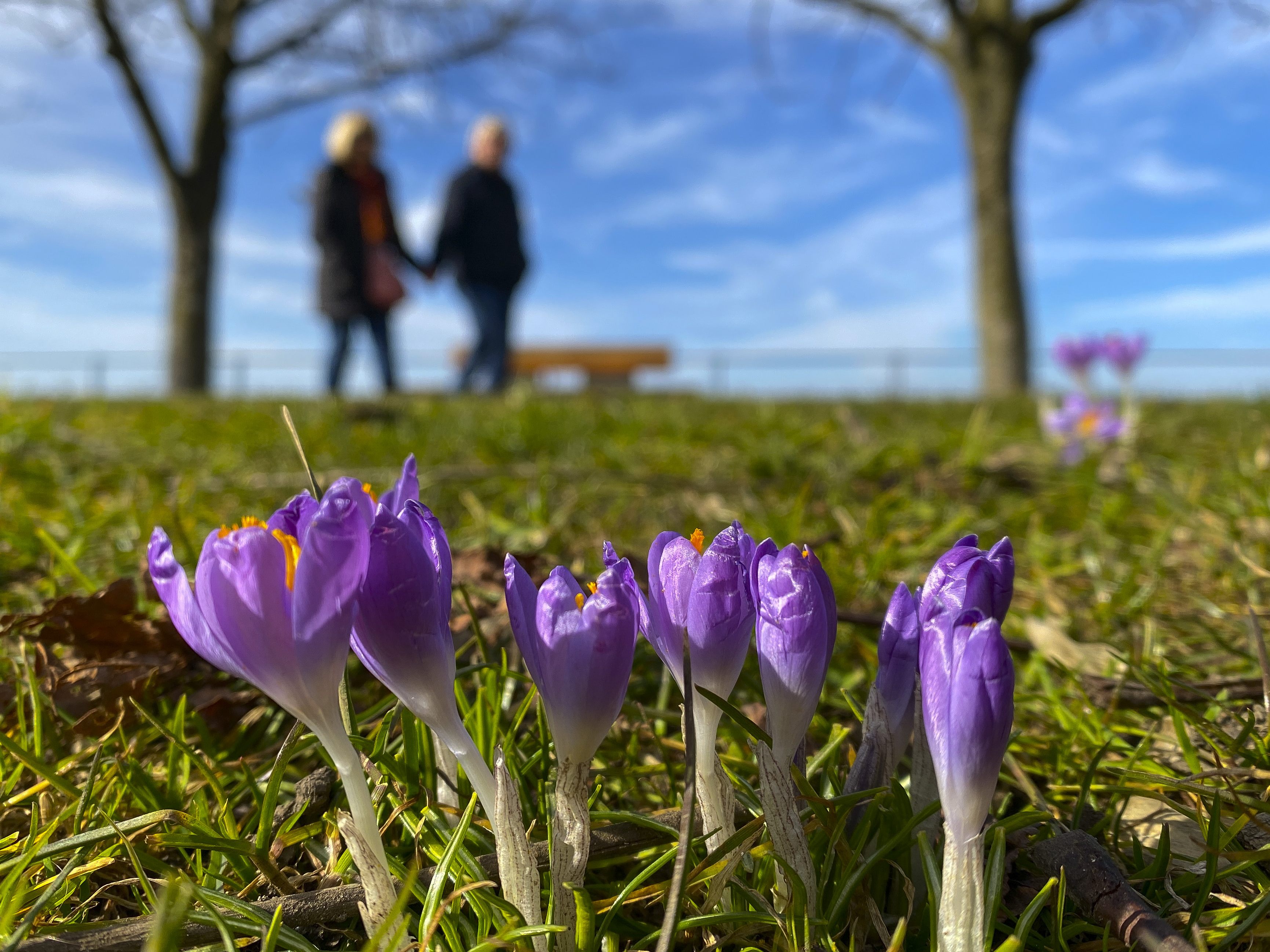 Sonnenschein sorgt für Wärmerekorde in Vorarlberg.