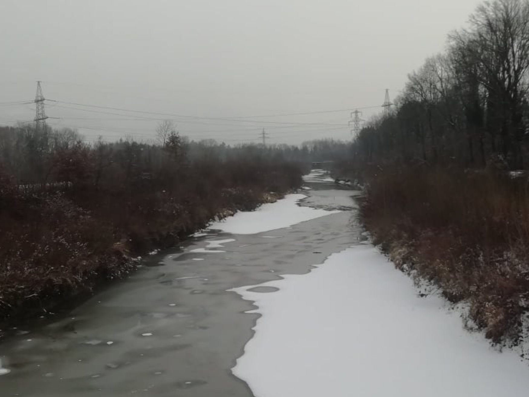 In Sulz müssen auch in diesem Jahr wieder zahlreiche kranke Bäume gefällt werden In Sulz müssen auch in diesem Jahr wieder zahlreiche kranke Bäume gefällt werden