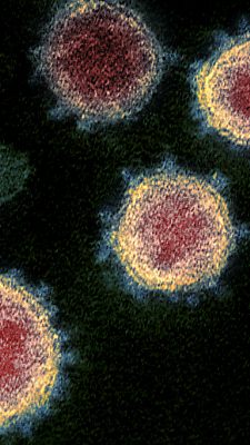 Keine Trendwende in Sicht