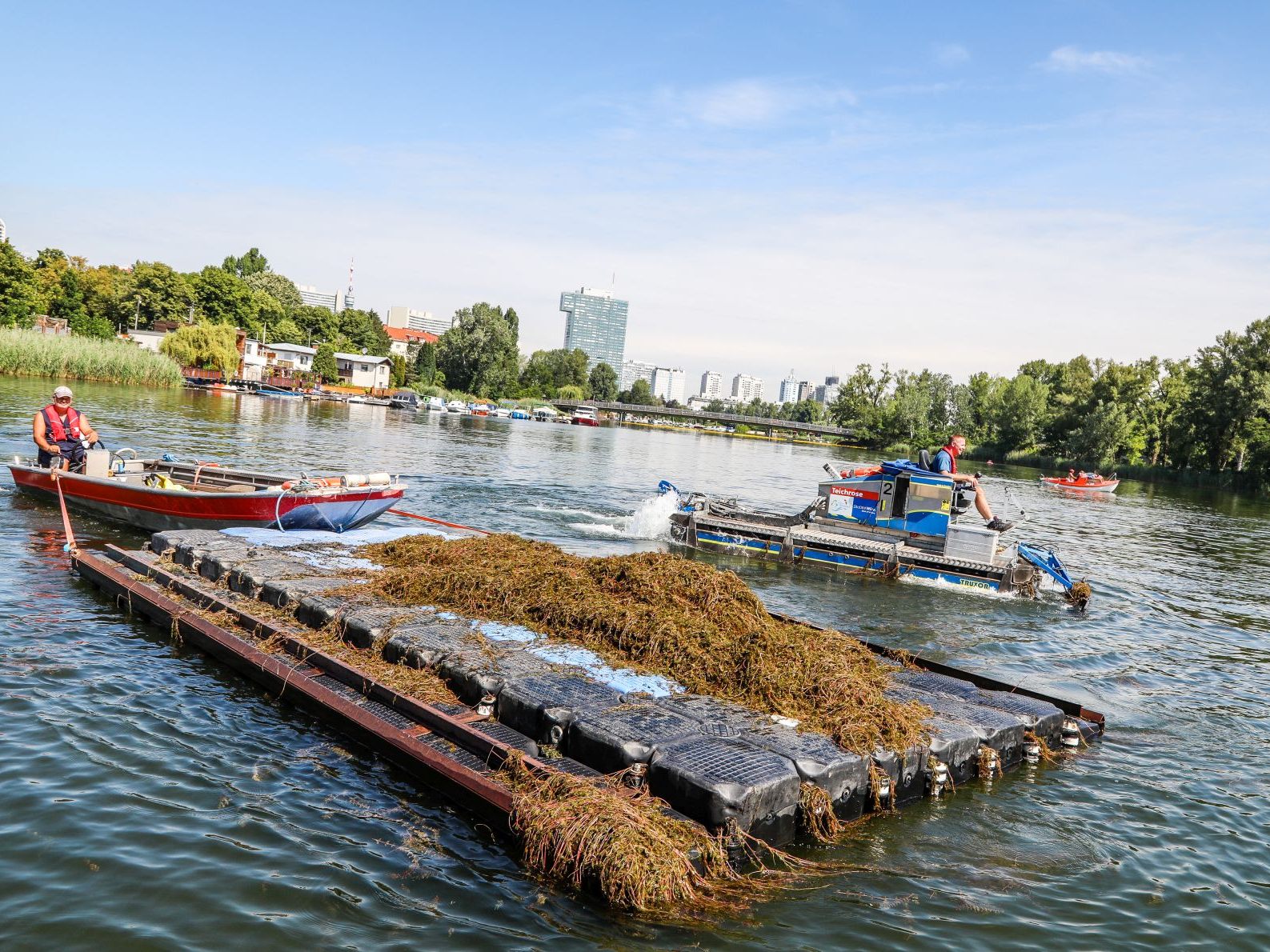 Ein früher Start der Unterwasserpflanzen-Mahd garantiert ungetrübtes Badevergnügen in der Alten Donau. Ein früher Start der Unterwasserpflanzen-Mahd garantiert ungetrübtes Badevergnügen in der Alten Donau.