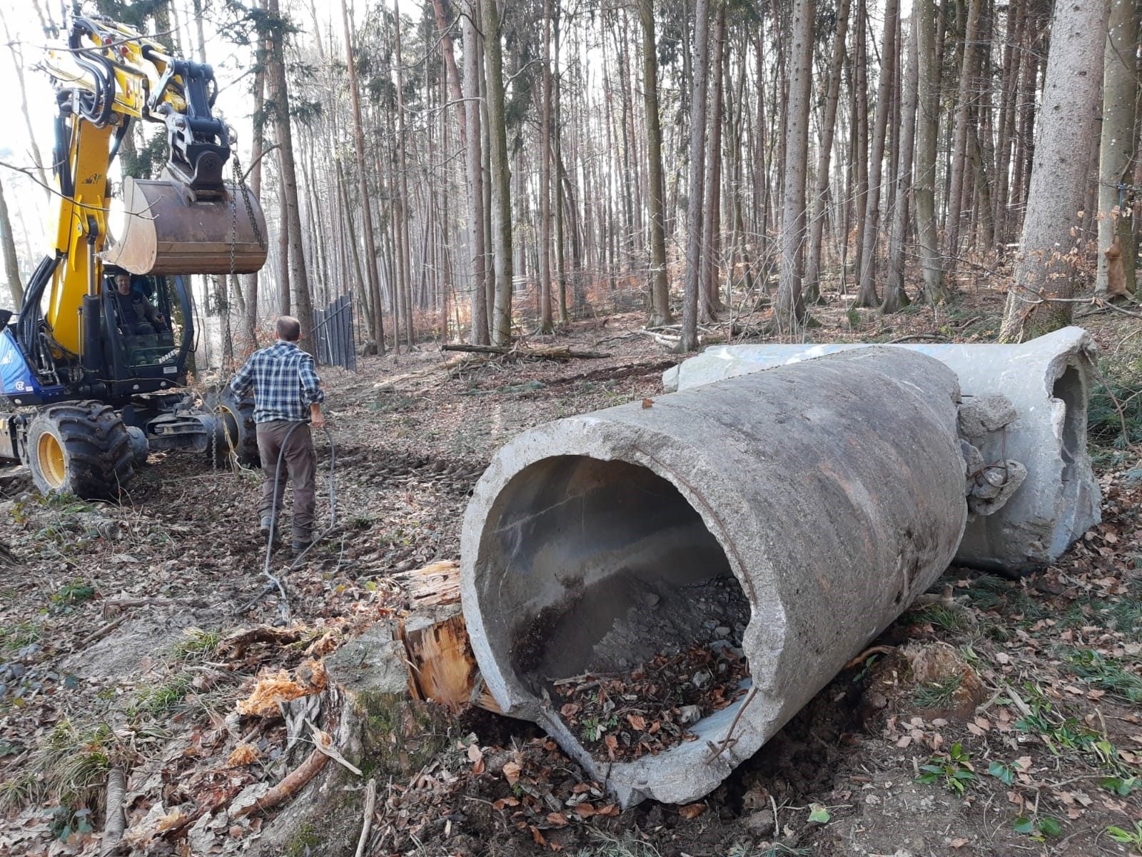 Tunnelbau im Wolfsgehege Tunnelbau im Wolfsgehege