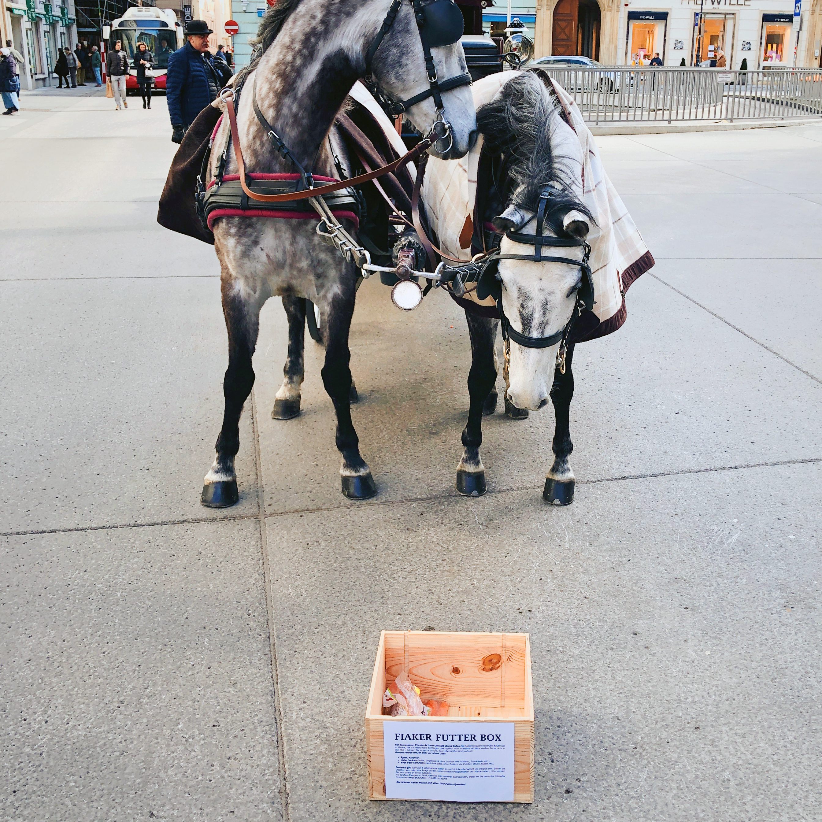 Die Futterboxen werden tagsüber aufgestellt und am Abend wieder verräumt.