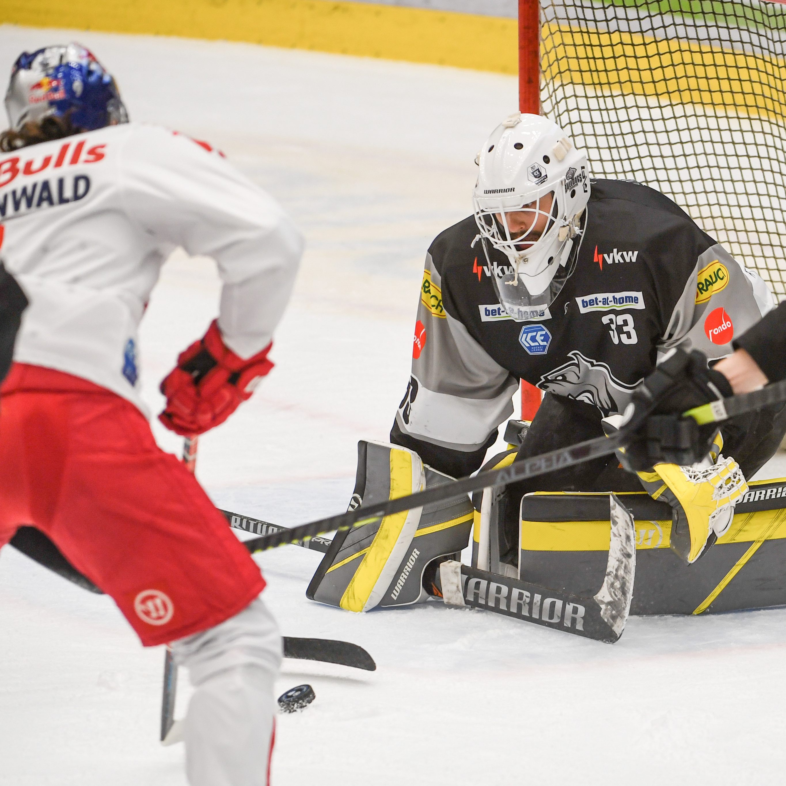 Torhüter Höneckl zeigte auch heute eine gute Leistung.