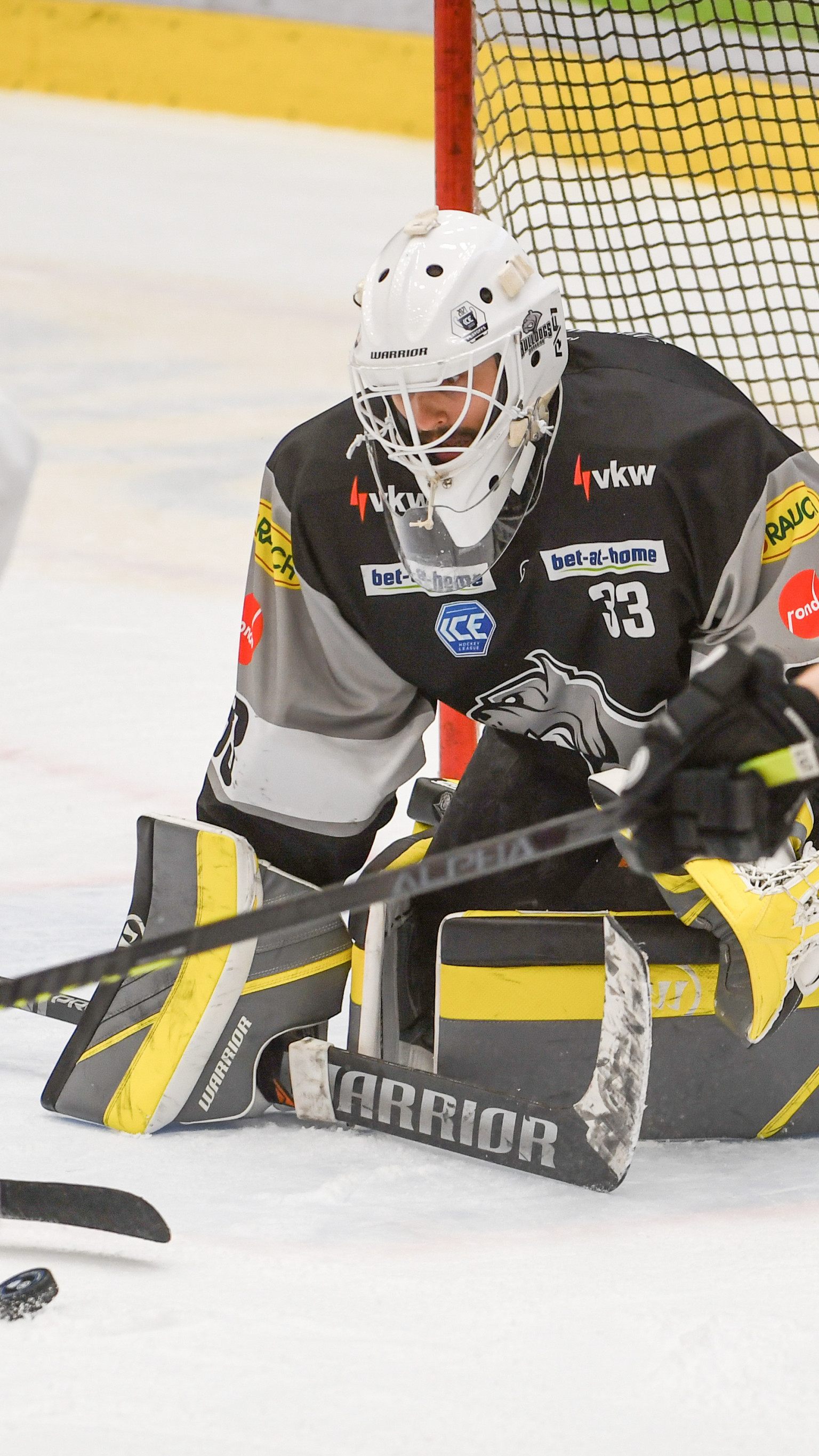 Torhüter Höneckl zeigte auch heute eine gute Leistung.