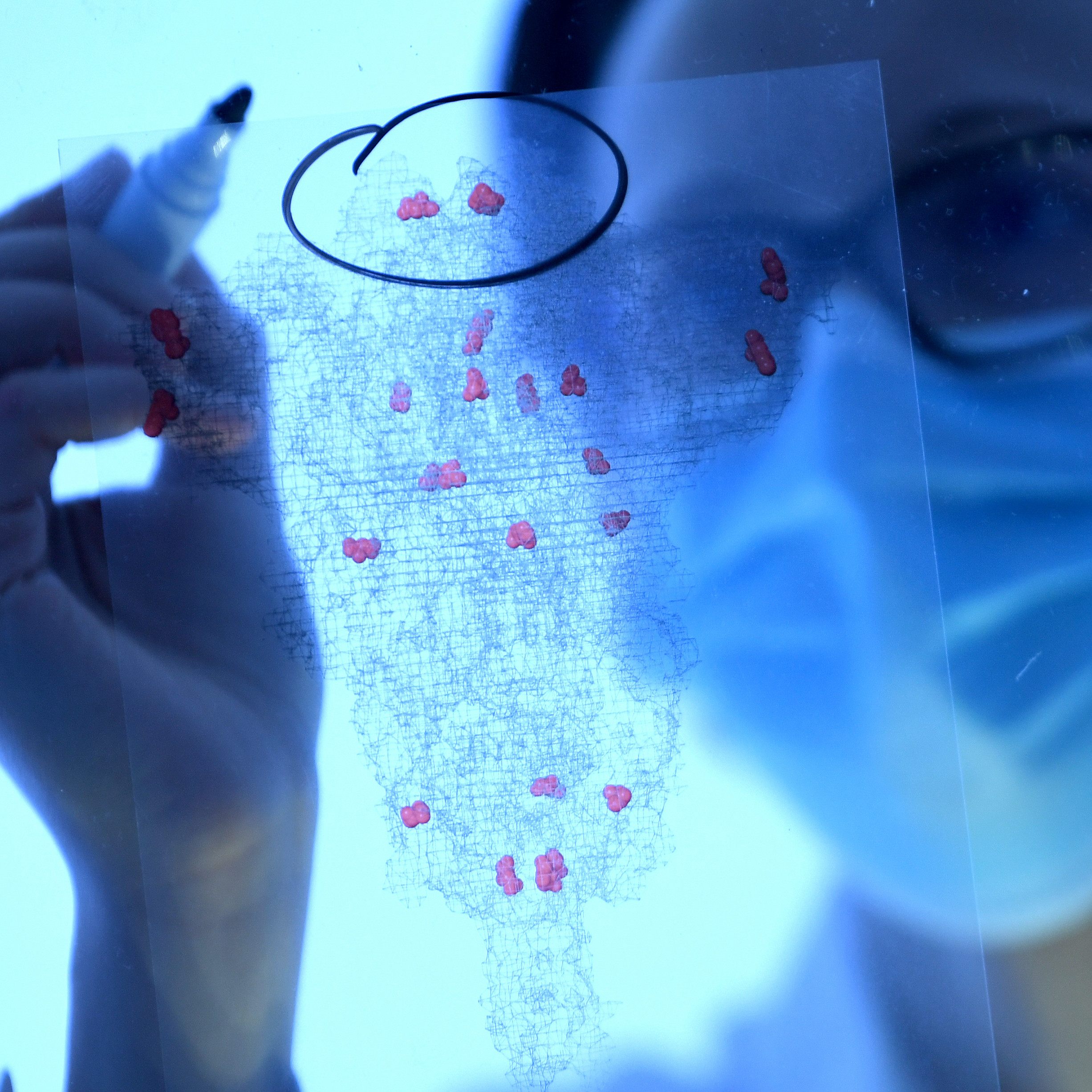 Forscher untersuchen die neue Variante bereits eingehend (Symbolbild).