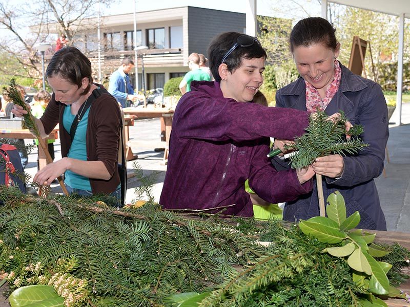 Kompetente Hilfe beim Palmenbinden