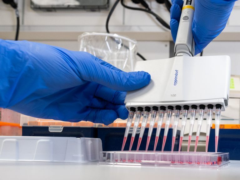 817 Coronavirus-Neuinfektionen wurden am Dienstag in Niederösterreich gemeldet. 817 Coronavirus-Neuinfektionen wurden am Dienstag in Niederösterreich gemeldet.