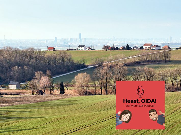In "Heast, OIDA!" sprechen wir mit Gerlind Weber über Landflucht.