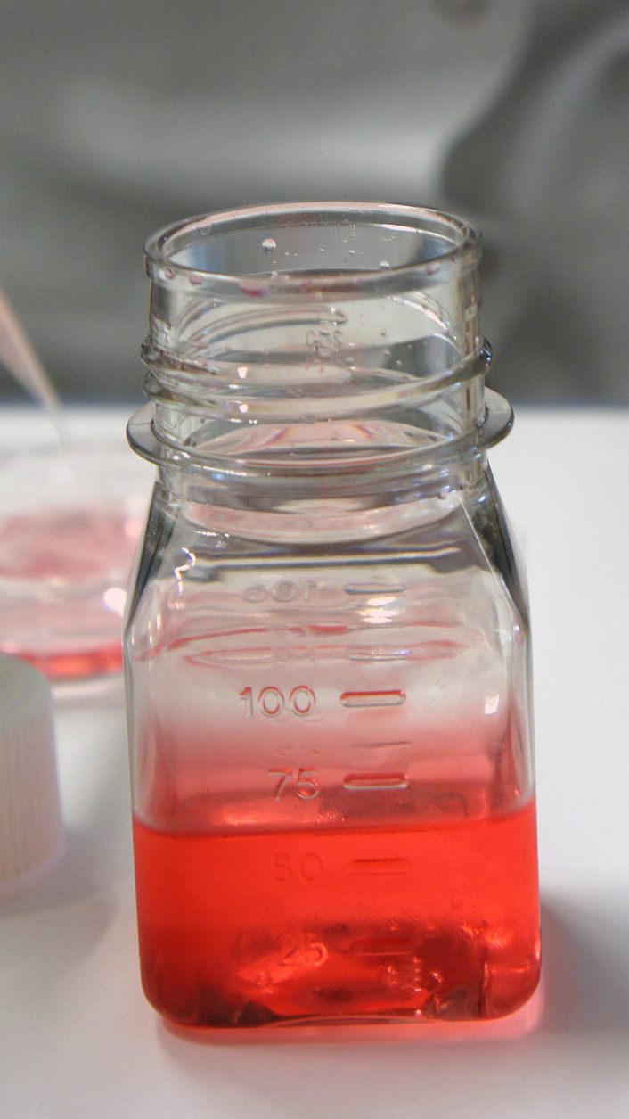 Covid-19-Studie: Kein höheres Ansteckungsrisiko für Krankenhauspersonal.