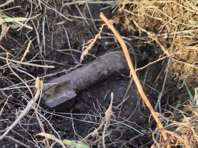Die Werfergranate wurde vom Entminungsdienst des Bundesheeres abtransportiert.