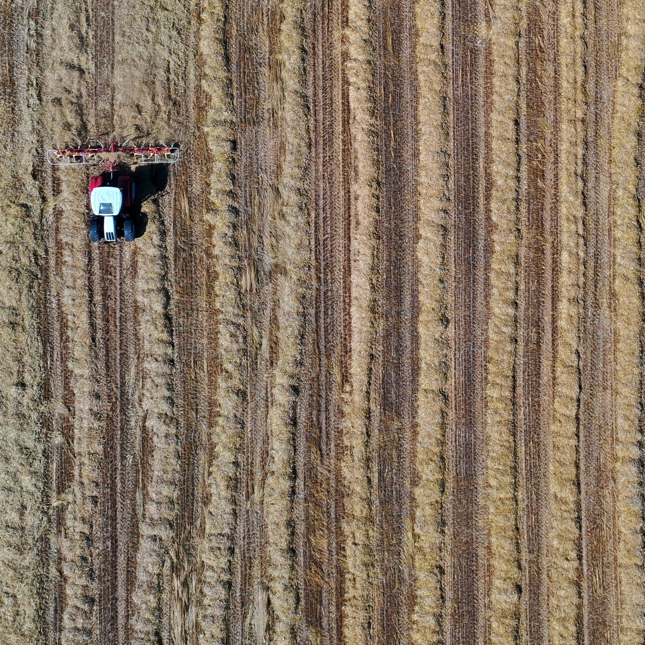 Köstinger: "Erfolgsgeschichte der heimischen Landwirtschaft"