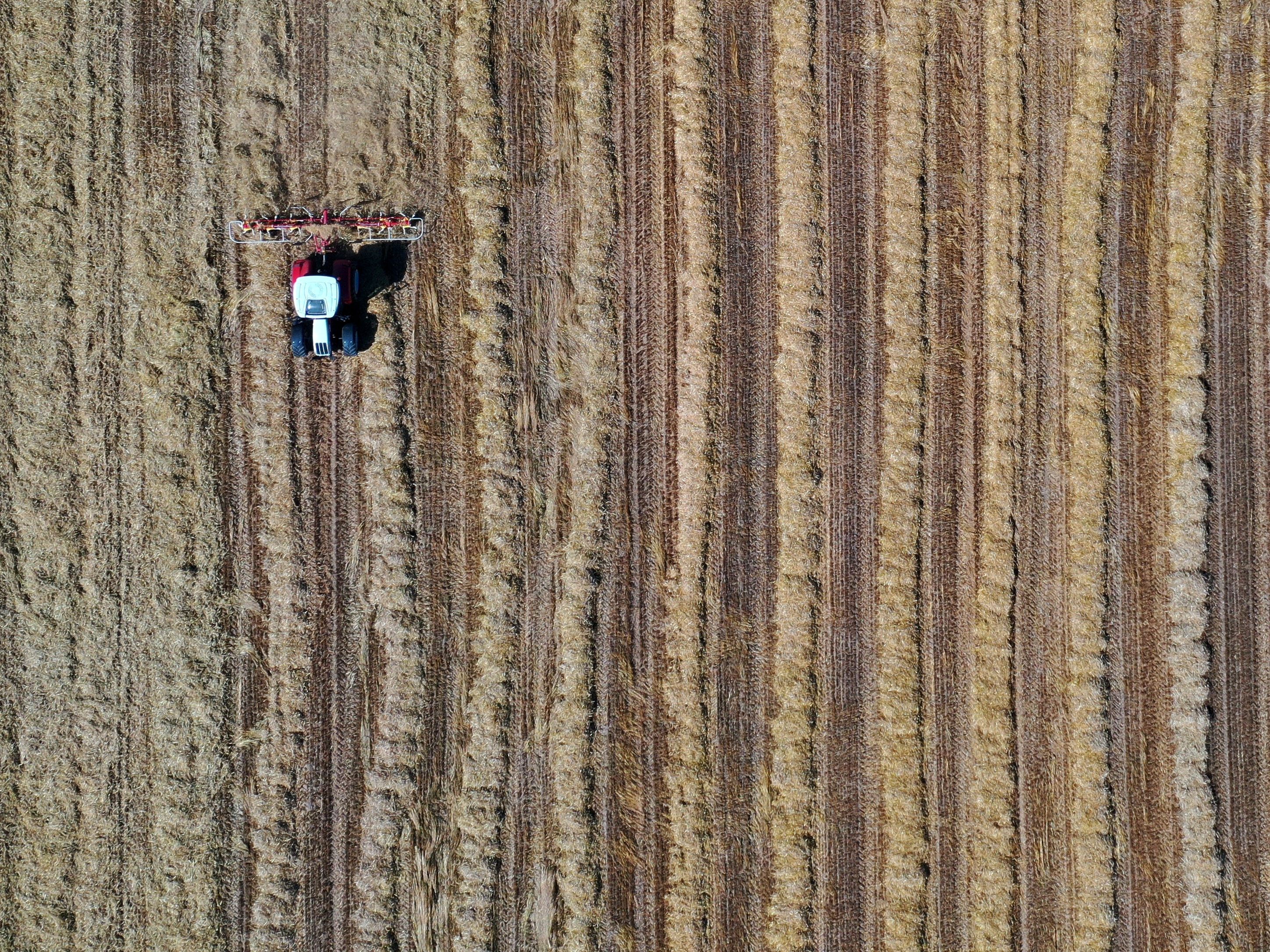Köstinger: "Erfolgsgeschichte der heimischen Landwirtschaft"