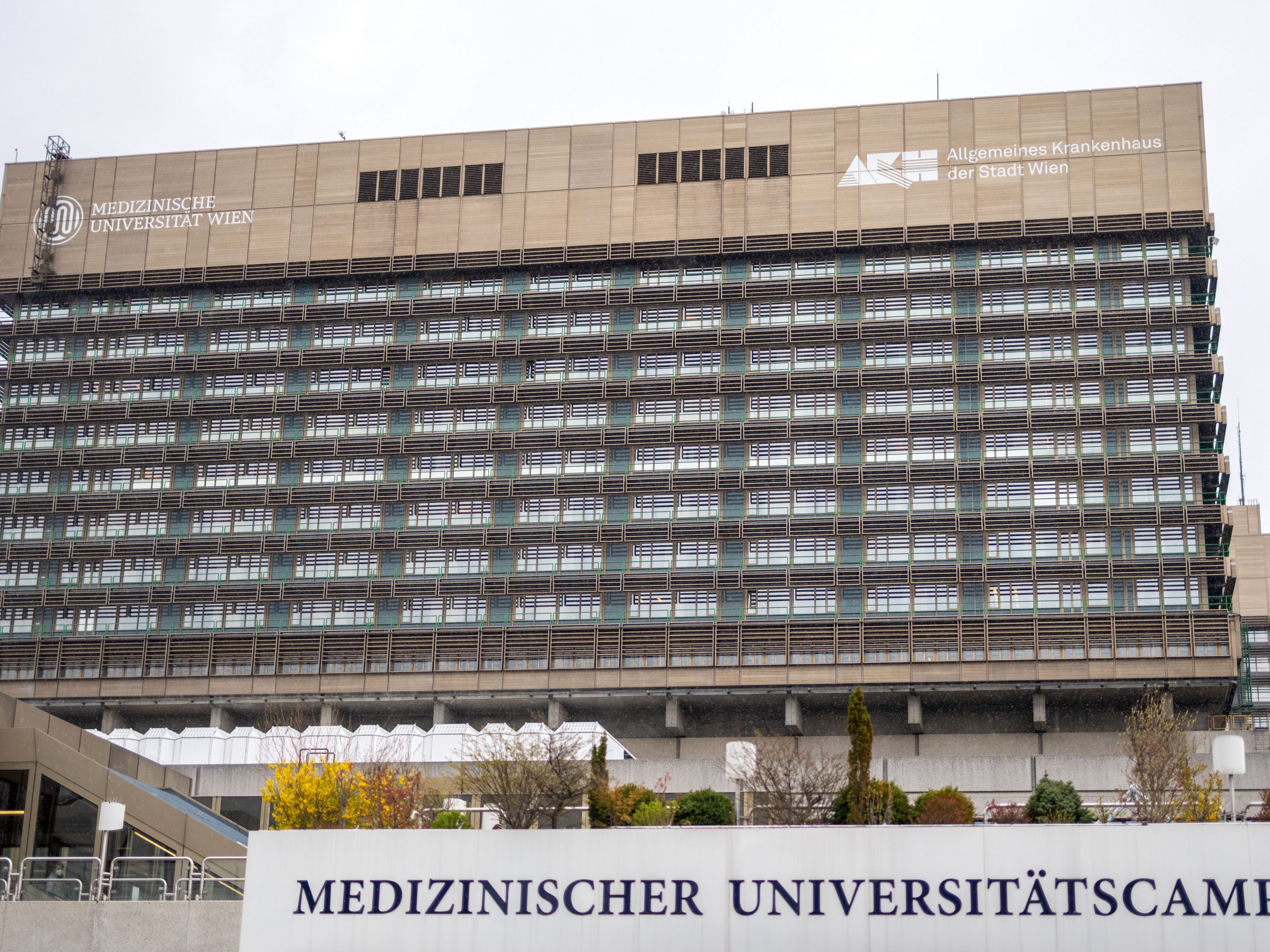 Lungentransplantationen: Bisher 75 Anfragen für lebensrettende Eingriffe an Wiener Universitätsklinik. Lungentransplantationen: Bisher 75 Anfragen für lebensrettende Eingriffe an Wiener Universitätsklinik.