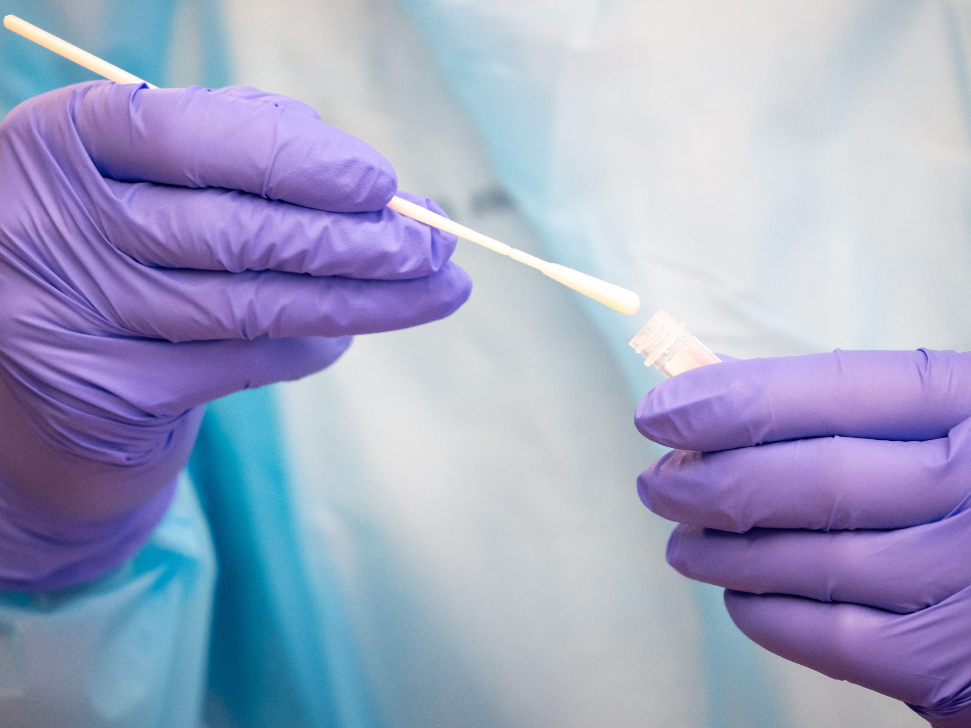 Im Internet kursieren Falschmeldungen über "Morgellon-Parasiten" auf Antigen-Teststäbchen.