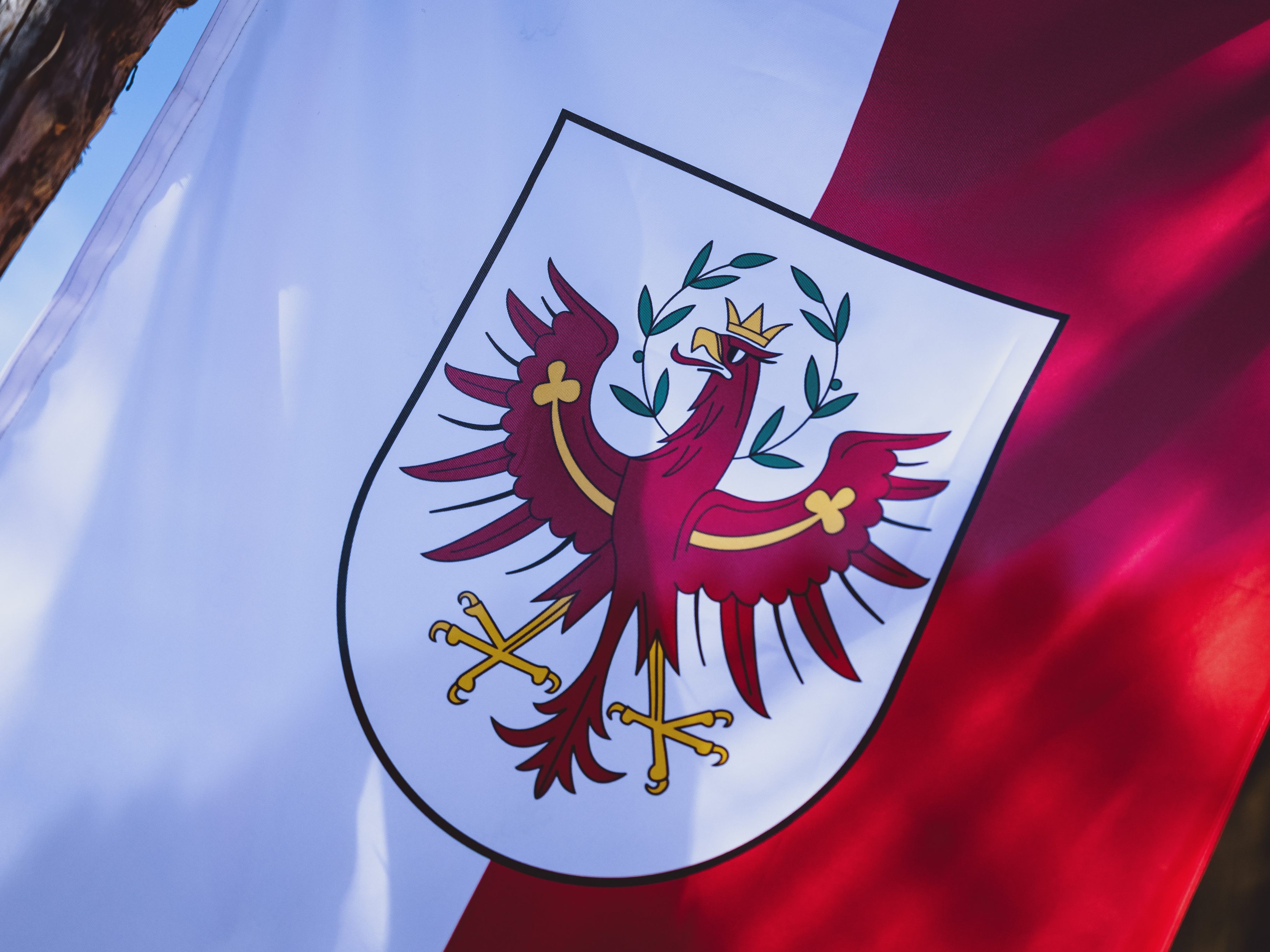 Die Zahl der Fälle der mutierten Briten-Variante ging in Tirol zurück. Die Zahl der Fälle der mutierten Briten-Variante ging in Tirol zurück.