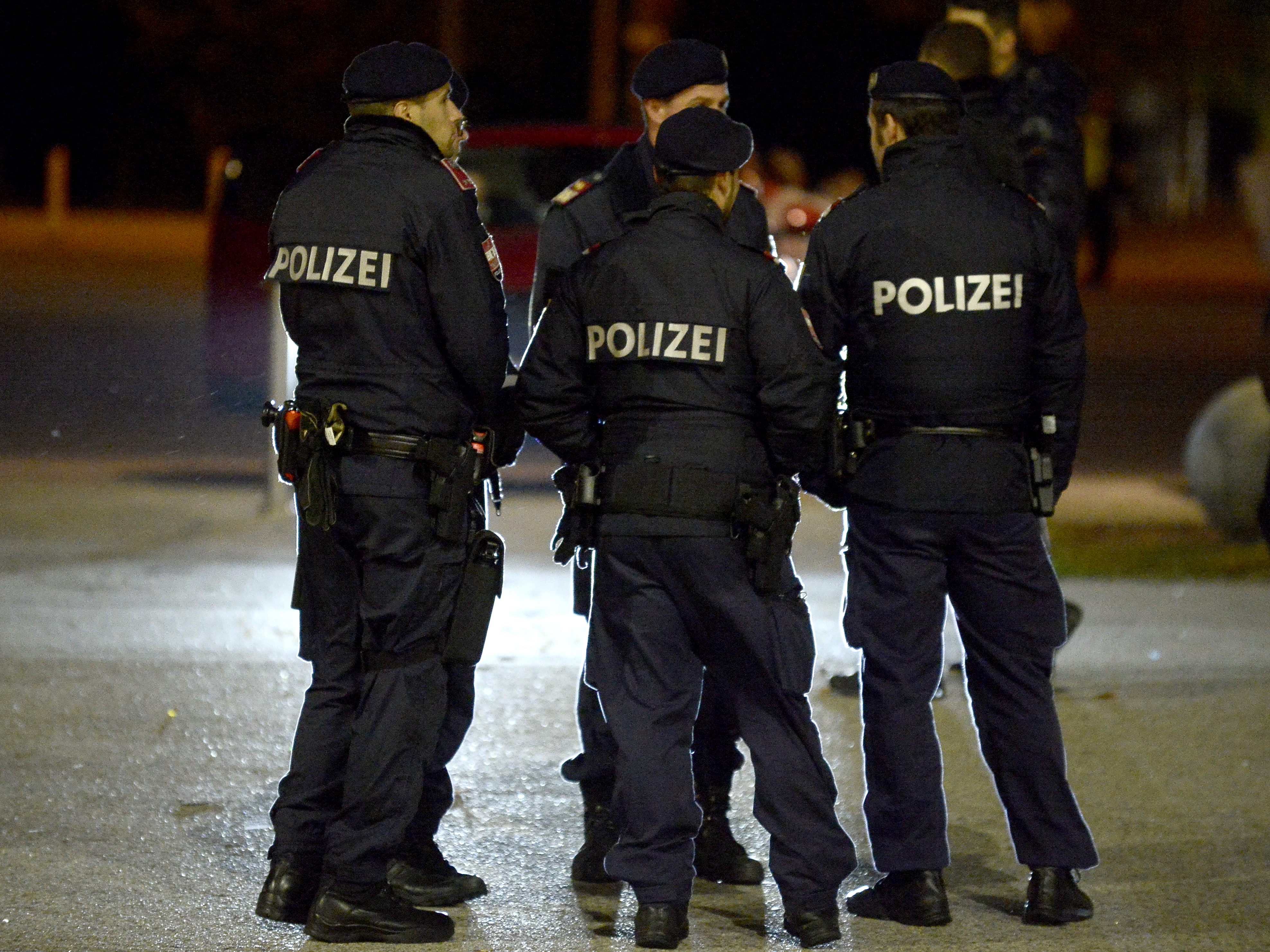 Die Polizei durchsuchte das Gebäude und nahm zwei Jugendliche fest. Die Polizei durchsuchte das Gebäude und nahm zwei Jugendliche fest.
