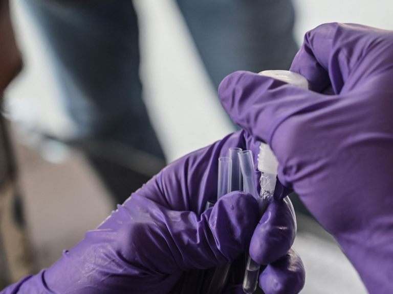 In Niederösterreich wurden am Dienstag 411 Coronavirus-Neuinfektionen gemeldet.