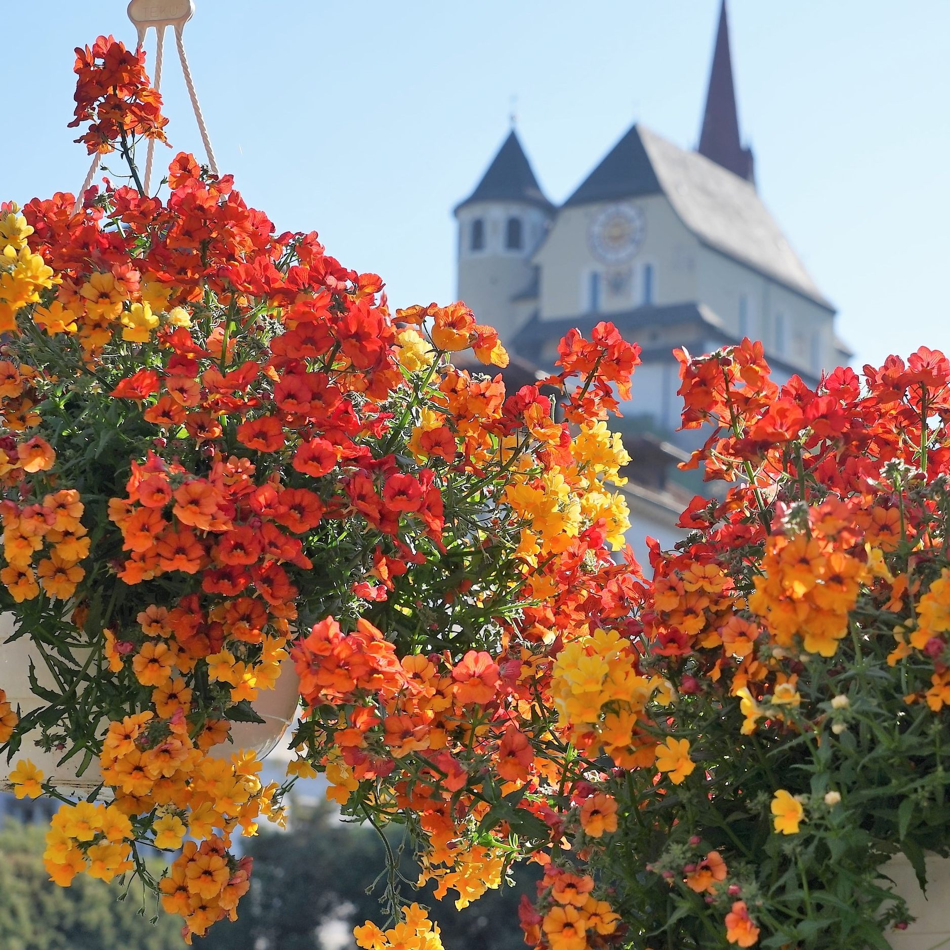 Die Alleskönner sind gefühlt immer präsent.