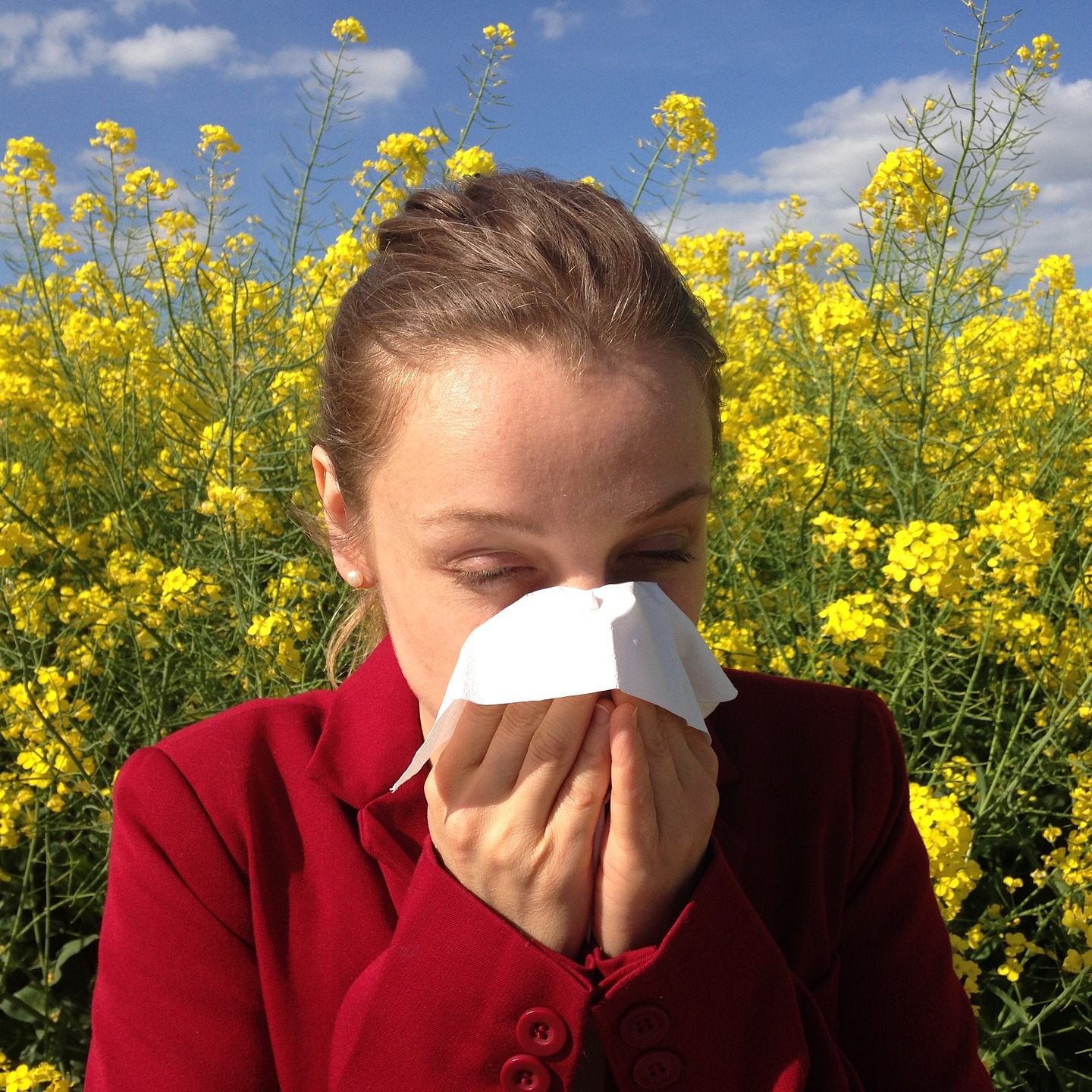 Wenn die Pollen fliegen, fällt es Allergikern schwer, den Frühling zu genießen