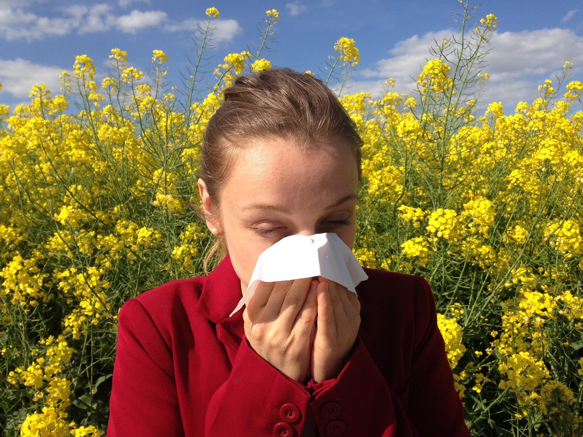 Wenn die Pollen fliegen, fällt es Allergikern schwer, den Frühling zu genießen