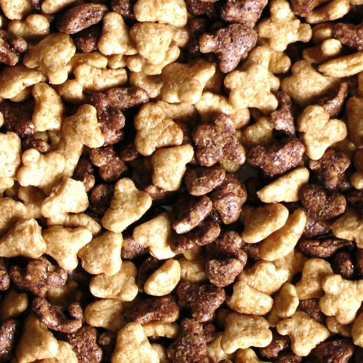 Schoko-Frühstückflocken erwiesen sich laut Testern großteils als Zuckerbomben und kaum als ideales Frühstück