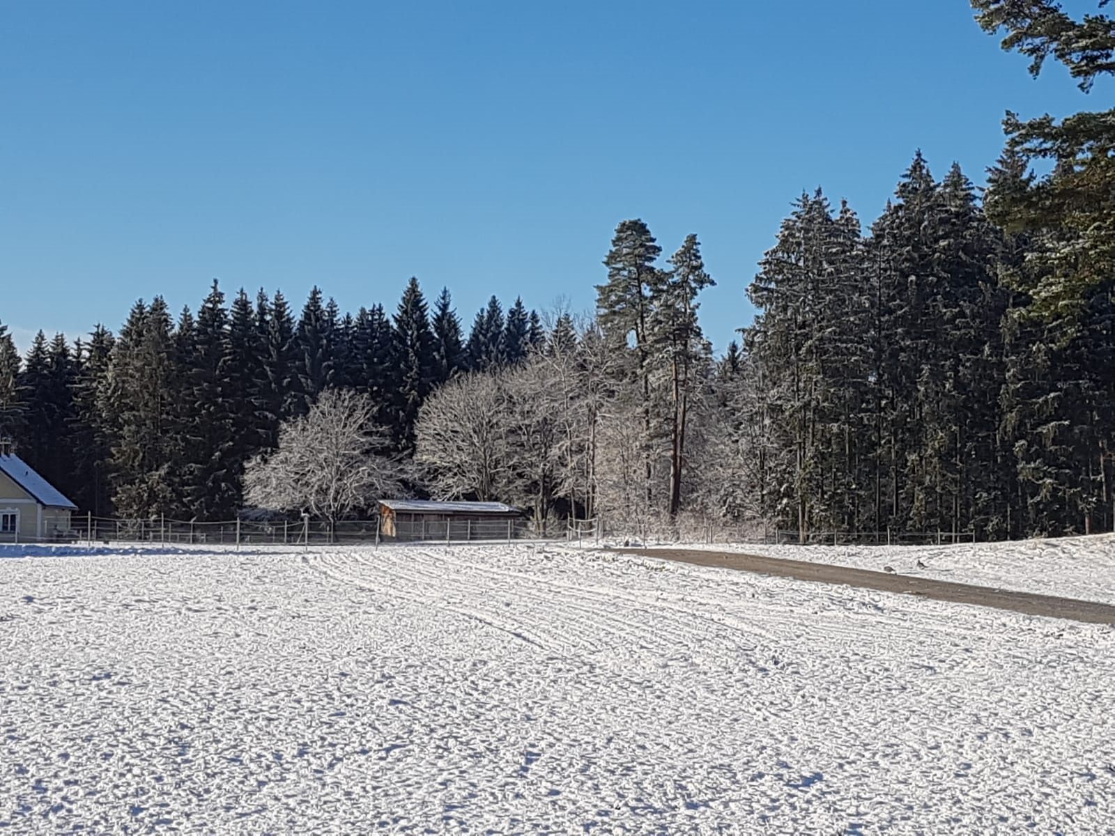 Im Osten Österreichs kam es am Dienstag zu einem Wintereinbruch. Im Osten Österreichs kam es am Dienstag zu einem Wintereinbruch.