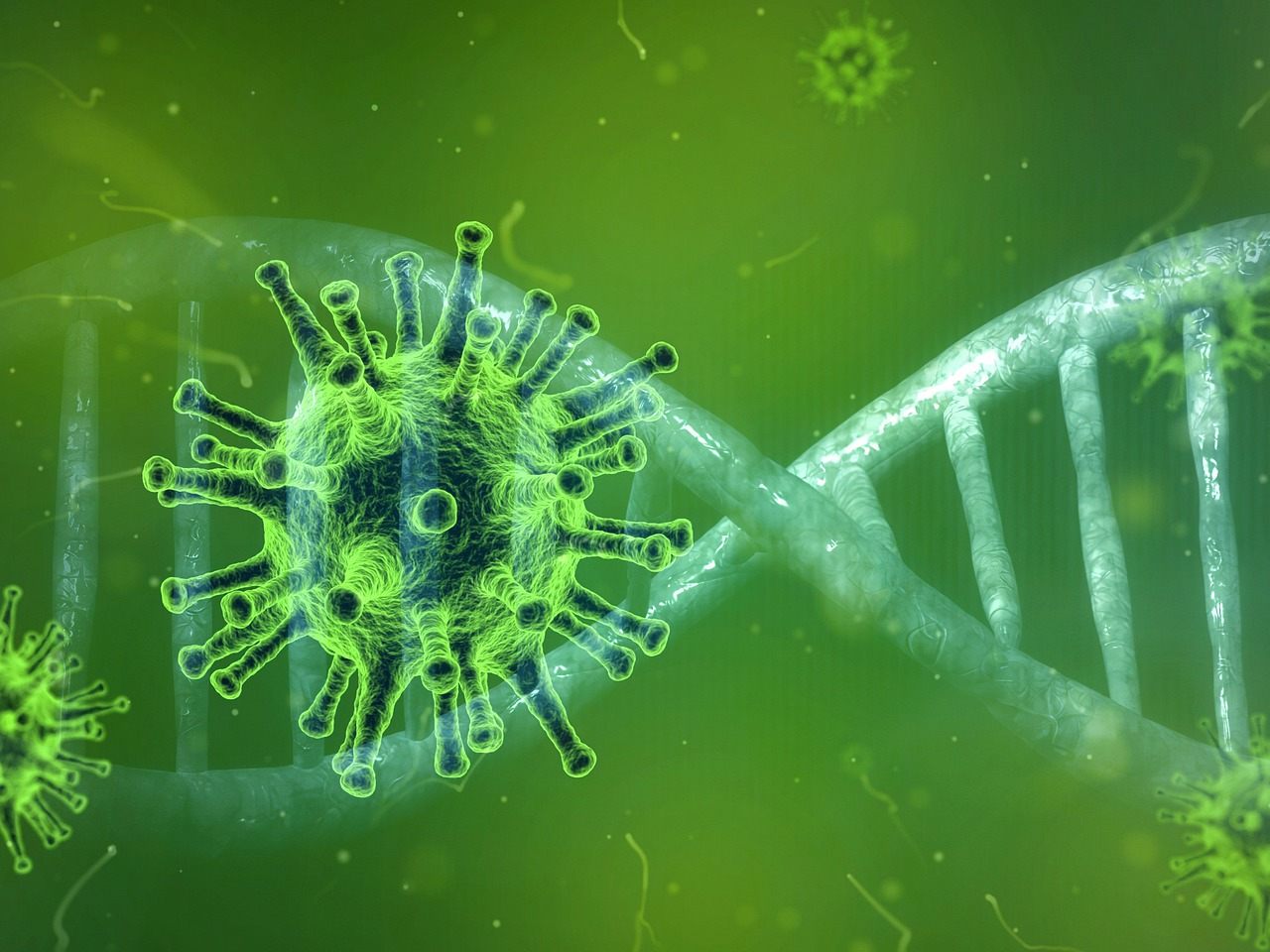 Der Anteil an Corona-Mutationen wird sich laut AGES noch erhöhen. Der Anteil an Corona-Mutationen wird sich laut AGES noch erhöhen.
