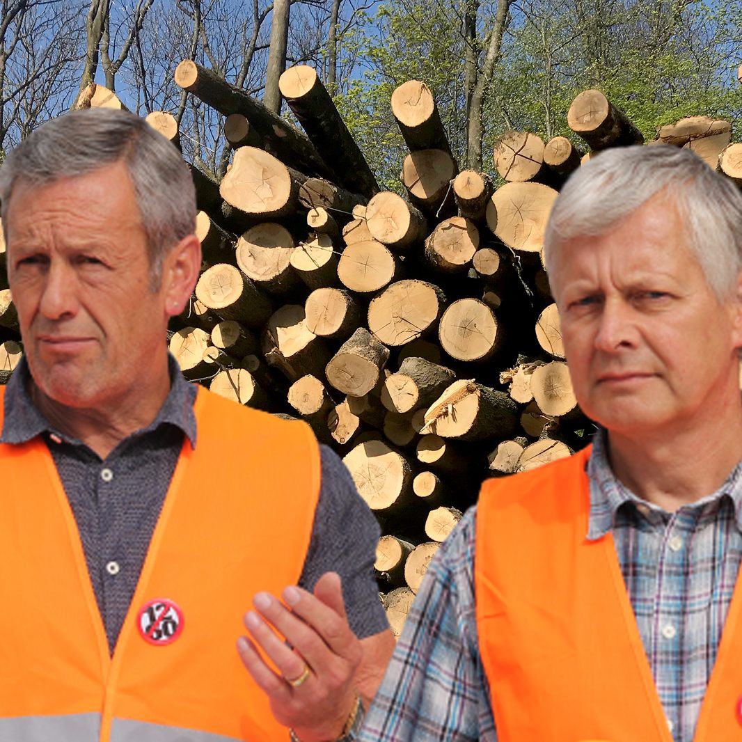 Im vergangenen Jahr wurde bei 30 ausländischen Firmen, die auf Baustellen in Vorarlberg tätig waren, ein Verdacht auf Unterentlohnung festgestellt.