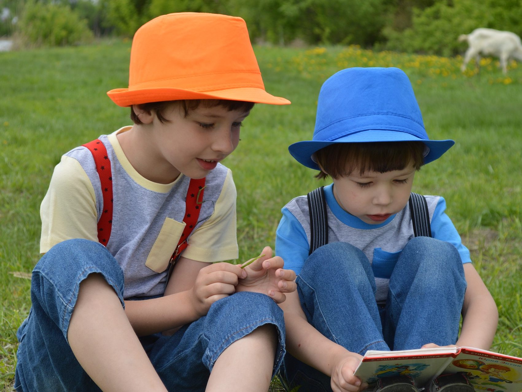 Für einen unbeschwerten Sommer: Klarheit über Regeln für Feriencamps und Co. werden gefordert Für einen unbeschwerten Sommer: Klarheit über Regeln für Feriencamps und Co. werden gefordert