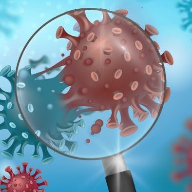 Behörde: Infizierter reiste über Transitflughafen ein