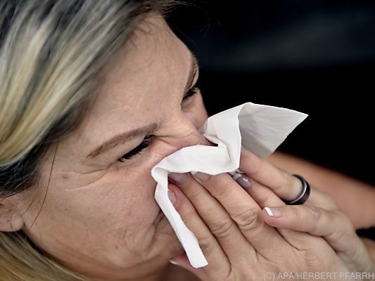 Auf schwache Grippewellen folgt meist starke epidemische Aktivität Auf schwache Grippewellen folgt meist starke epidemische Aktivität
