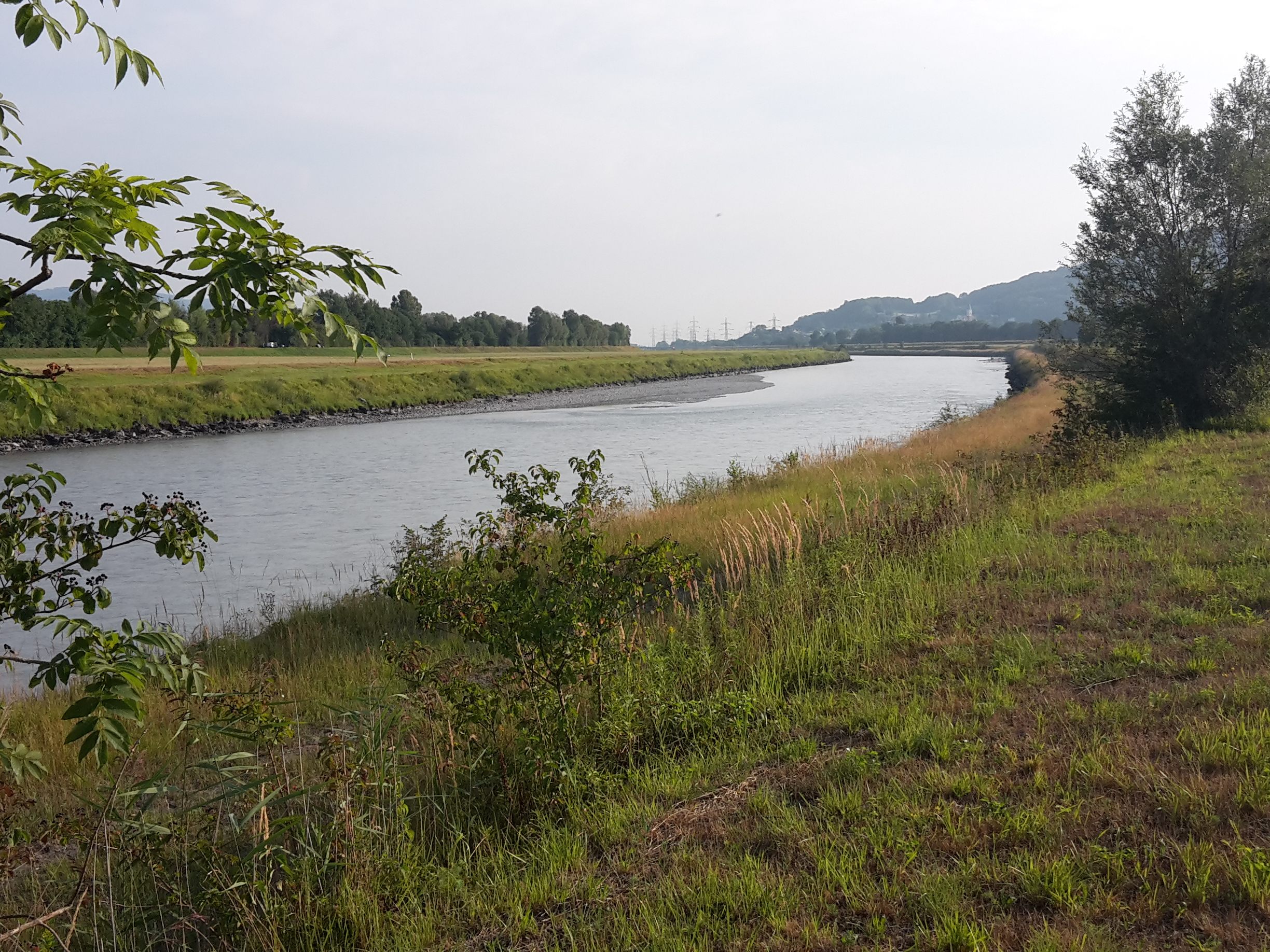 am Rhein entlang