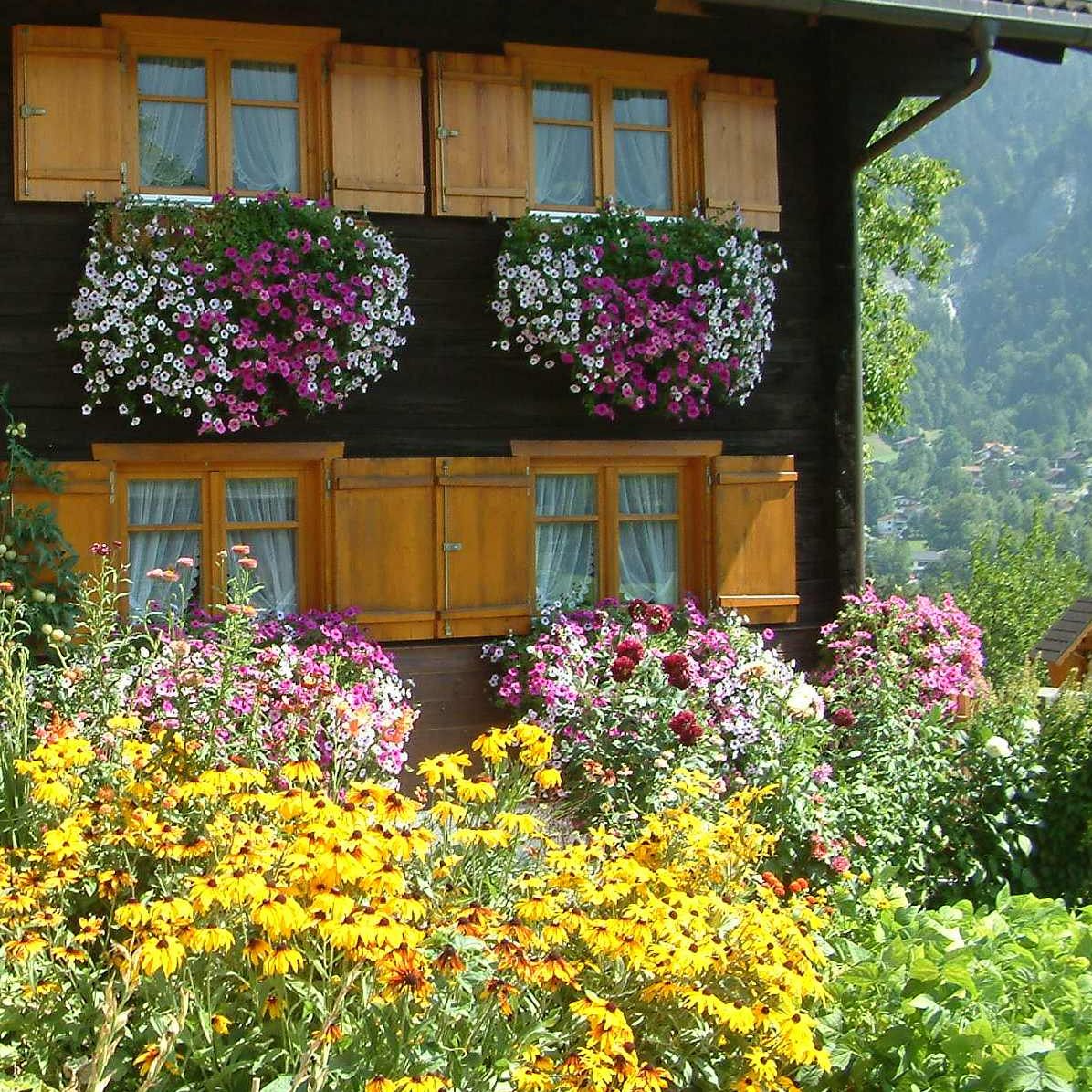 "Die Blütenpracht ist einfach anziehend und setzt Akzente an stark frequentieren Plätzen", so Primus Huber.