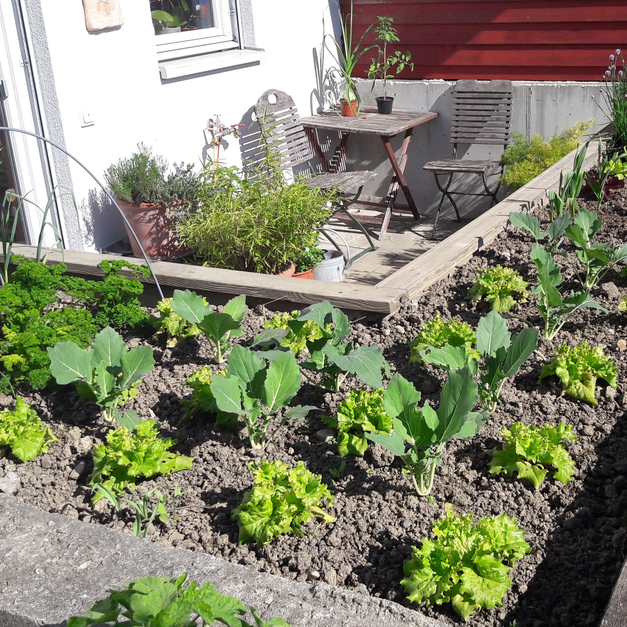 Hochbeete bieten viele Vorteile und sind mittlerweile voll im Trend.