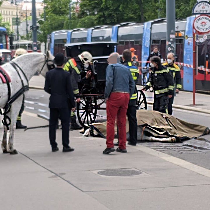 Der VGT ortet Betroffenheit.