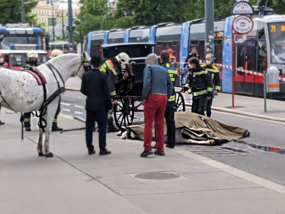 Am Freitag starb ein Fiakerpferd am Wiener Ring.