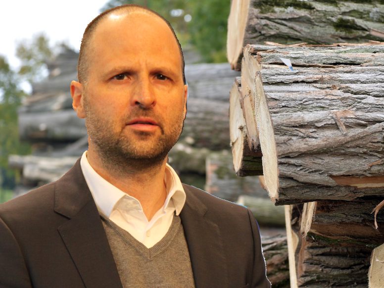 Steigende Preise für Holzprodukte belastet die Bauwirtschaft Steigende Preise für Holzprodukte belastet die Bauwirtschaft