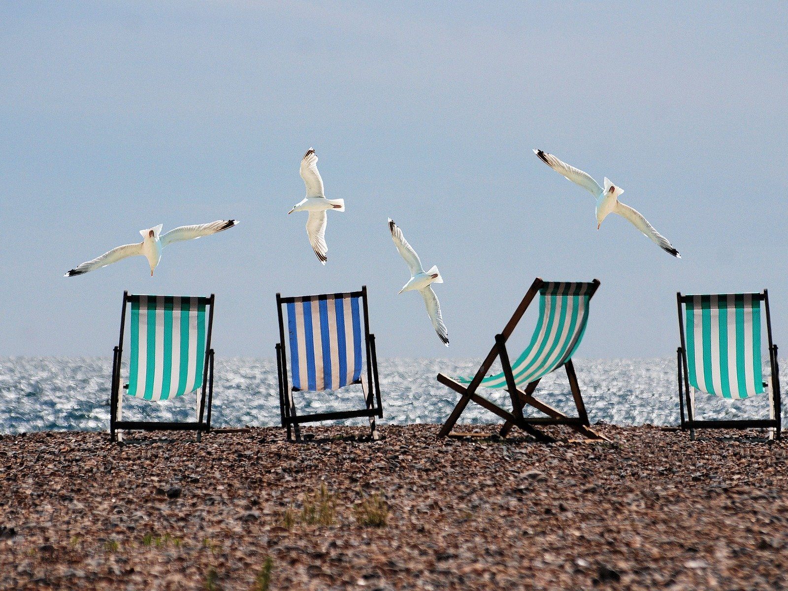 Viele Strandliegen blieben 2020 leer. Viele Strandliegen blieben 2020 leer.