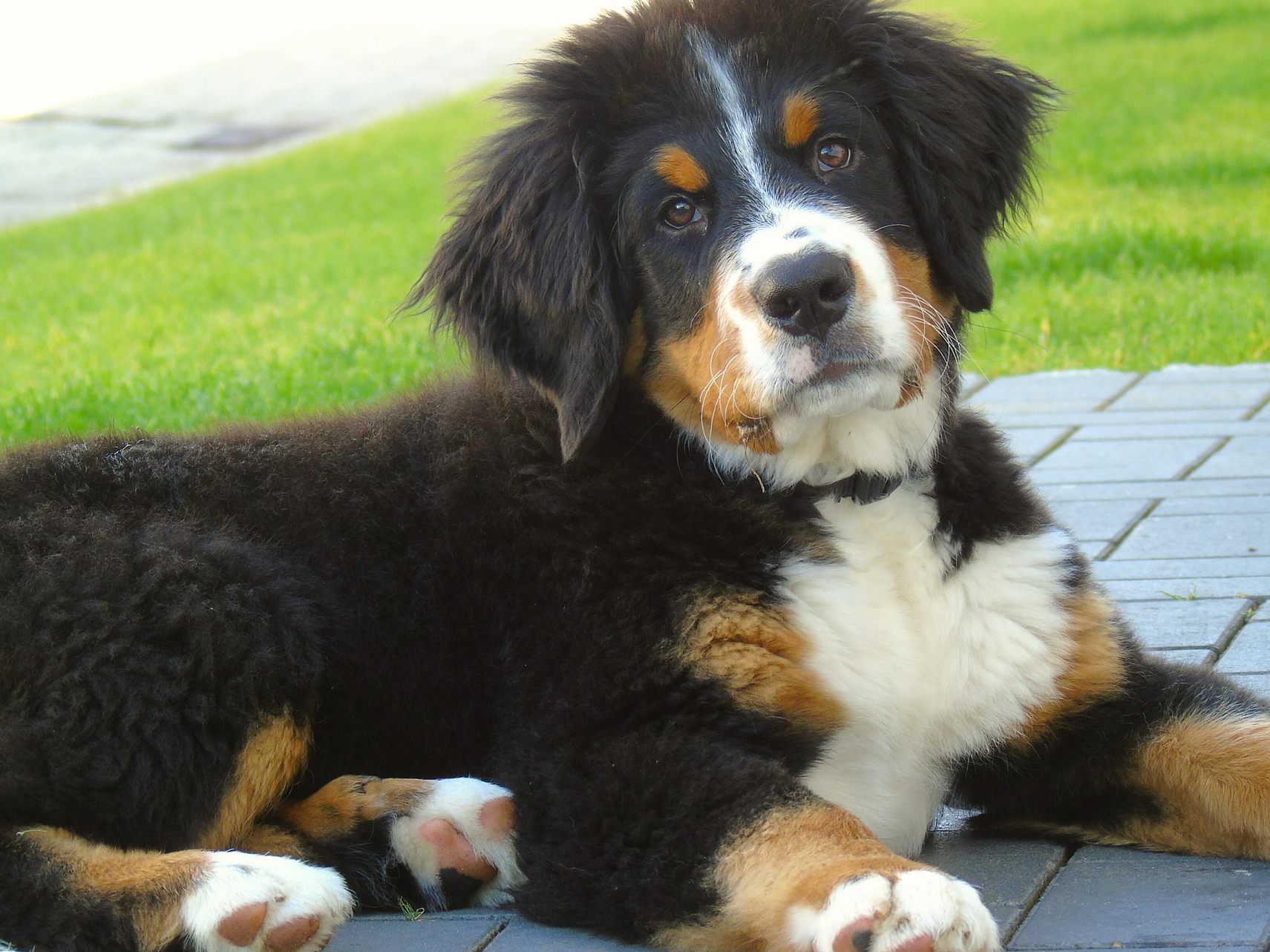 Das Video des zärtlichen Auftritts ging viral.