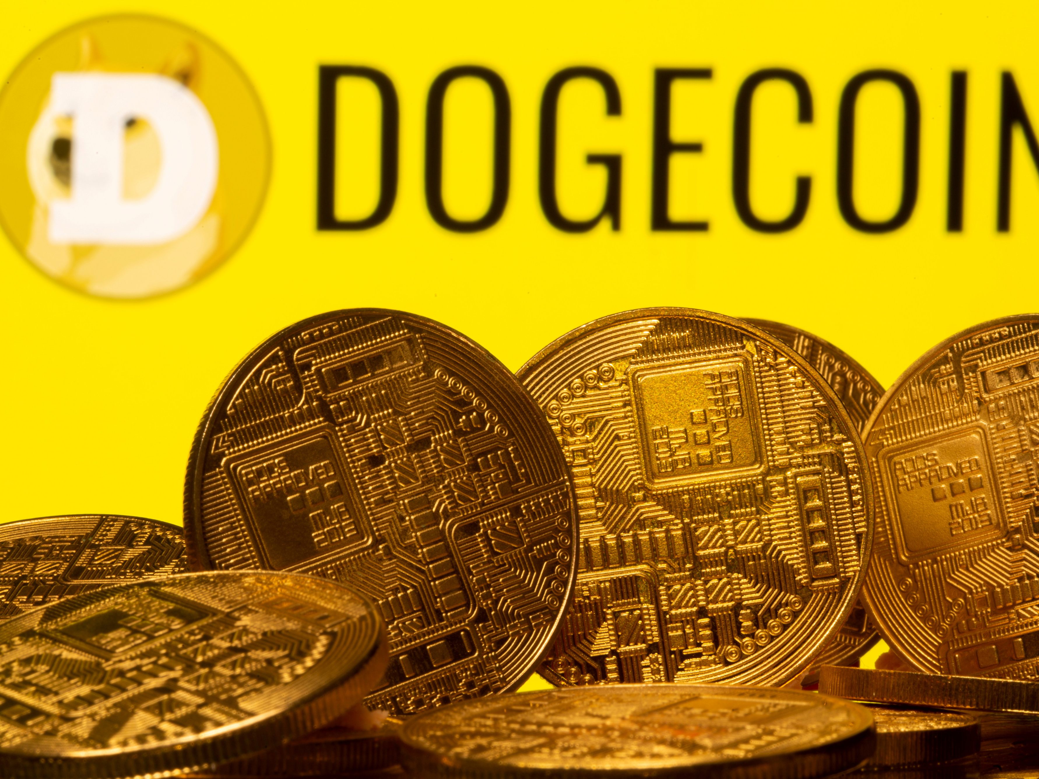 Besonders bei jungen Menschen ist Dogecoin beliebt. Besonders bei jungen Menschen ist Dogecoin beliebt.