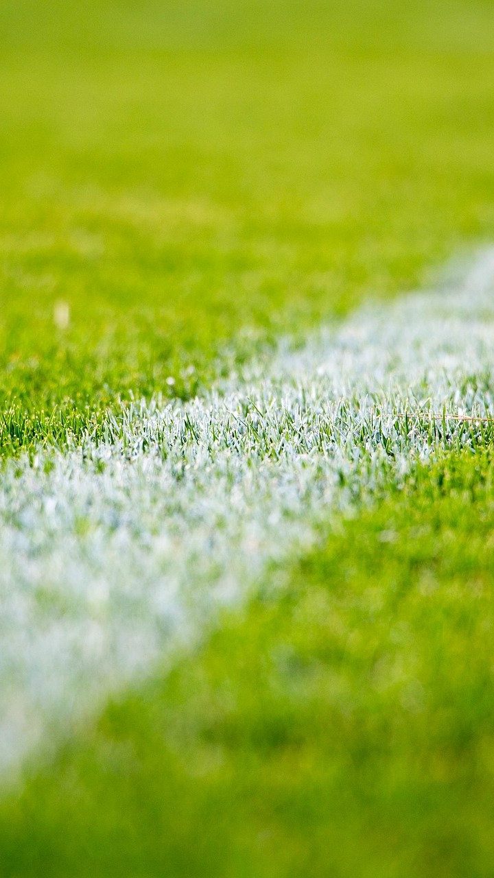 Der Wiener Fußball-Verband setzt die Saison 2020/21 fort.