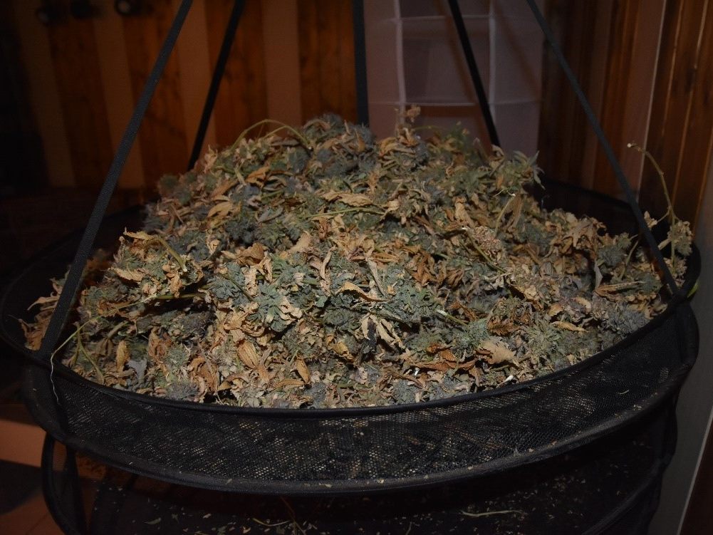 10 Kilo fertiges Cannabis waren wohl für den Verkauf gedacht. 10 Kilo fertiges Cannabis waren wohl für den Verkauf gedacht.
