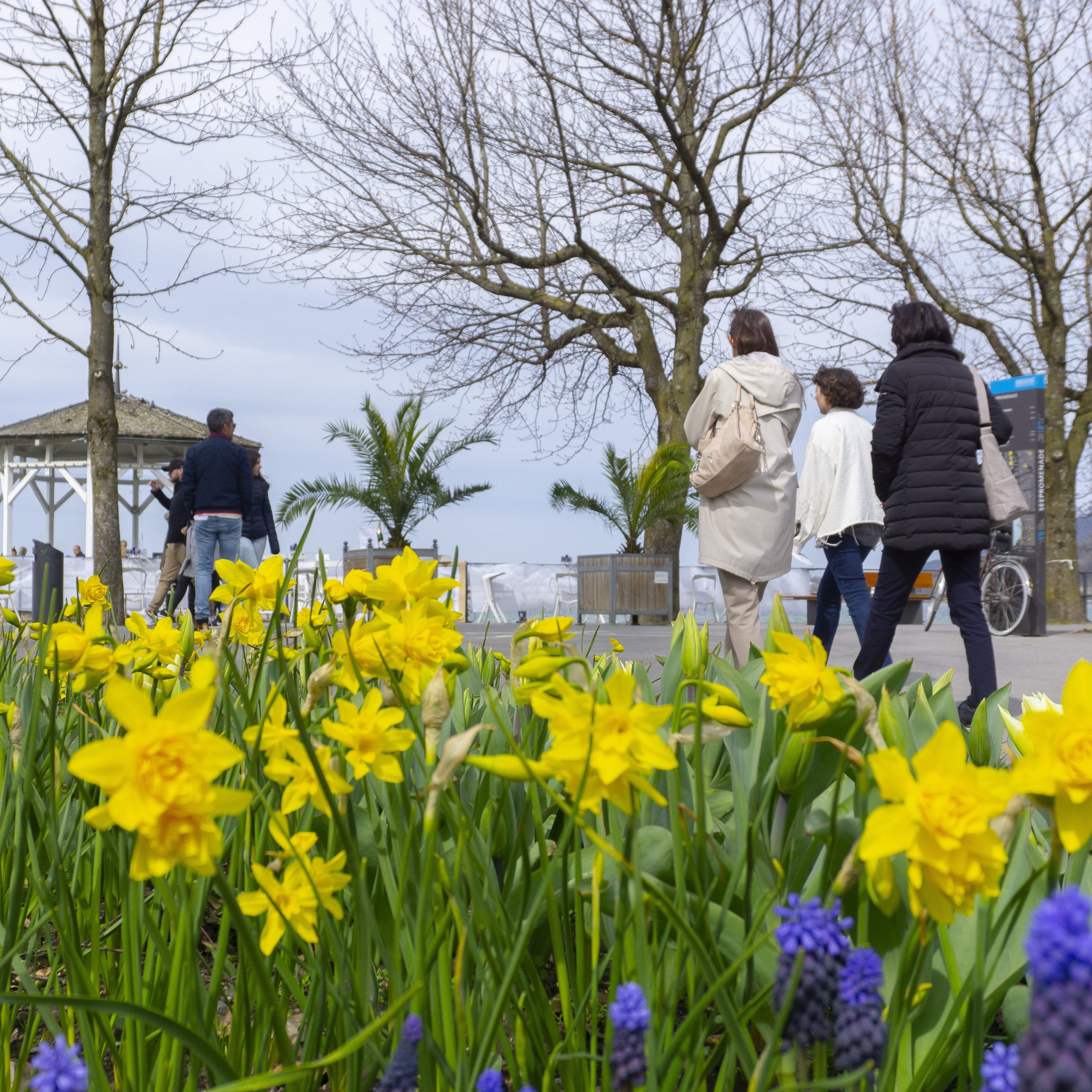 In Bregenz am See war am Wochenende einiges los.